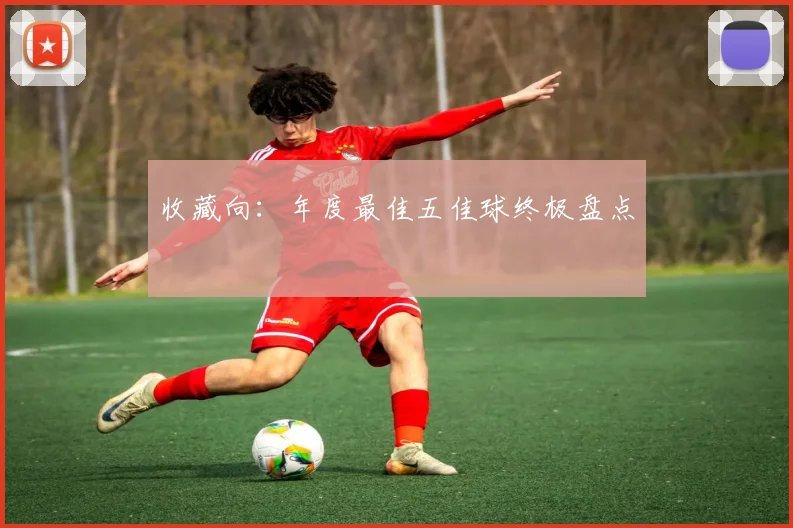 收藏向:年度最佳五佳球终极盘点